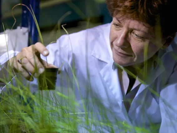 Dr. Claude Grison