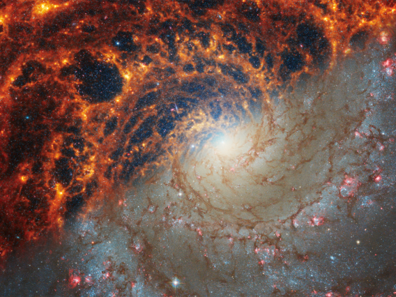 In this split image of the Phantom Galaxy, the James Webb Space Telescope (bottom half) reveals glowing dust that appears dark in the Hubble image (top half). 